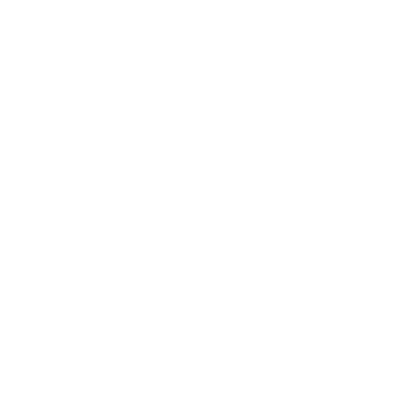 PROPHETSTOR DATA SERVICES, INC.