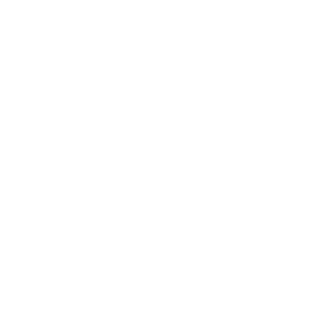  Runer