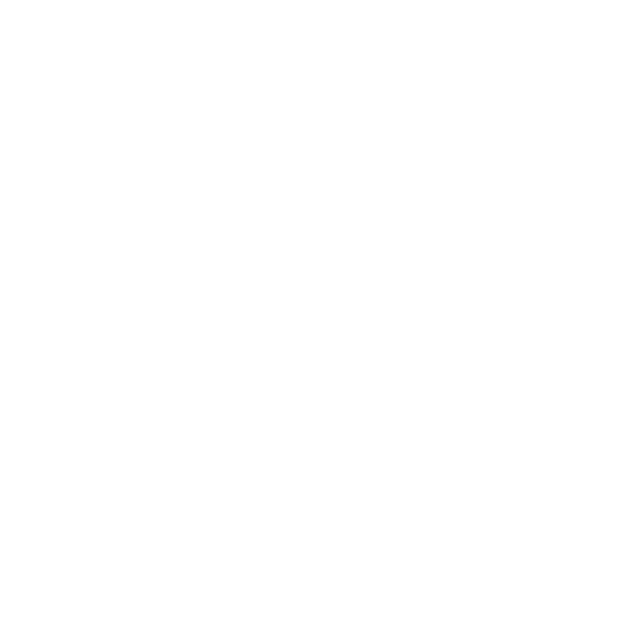 OTRAJET INC.